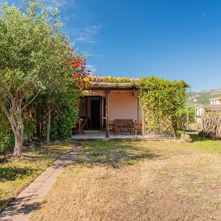 Appartamento Trilocale Le Canne 4 Posti Letto Con Giardino E Posto Auto Privato San Teodoro  Kültér fotó